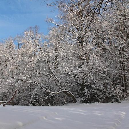 Willa Pod Zlota Morwa Swieta Katarzyna  Esterno foto