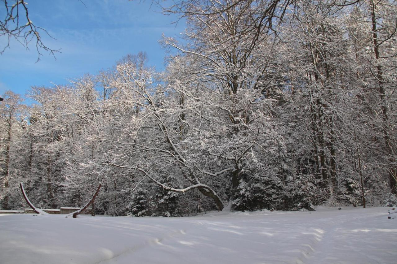 Willa Pod Zlota Morwa Swieta Katarzyna  Esterno foto