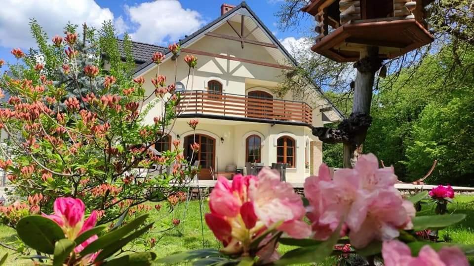 Willa Pod Zlota Morwa Swieta Katarzyna  Esterno foto