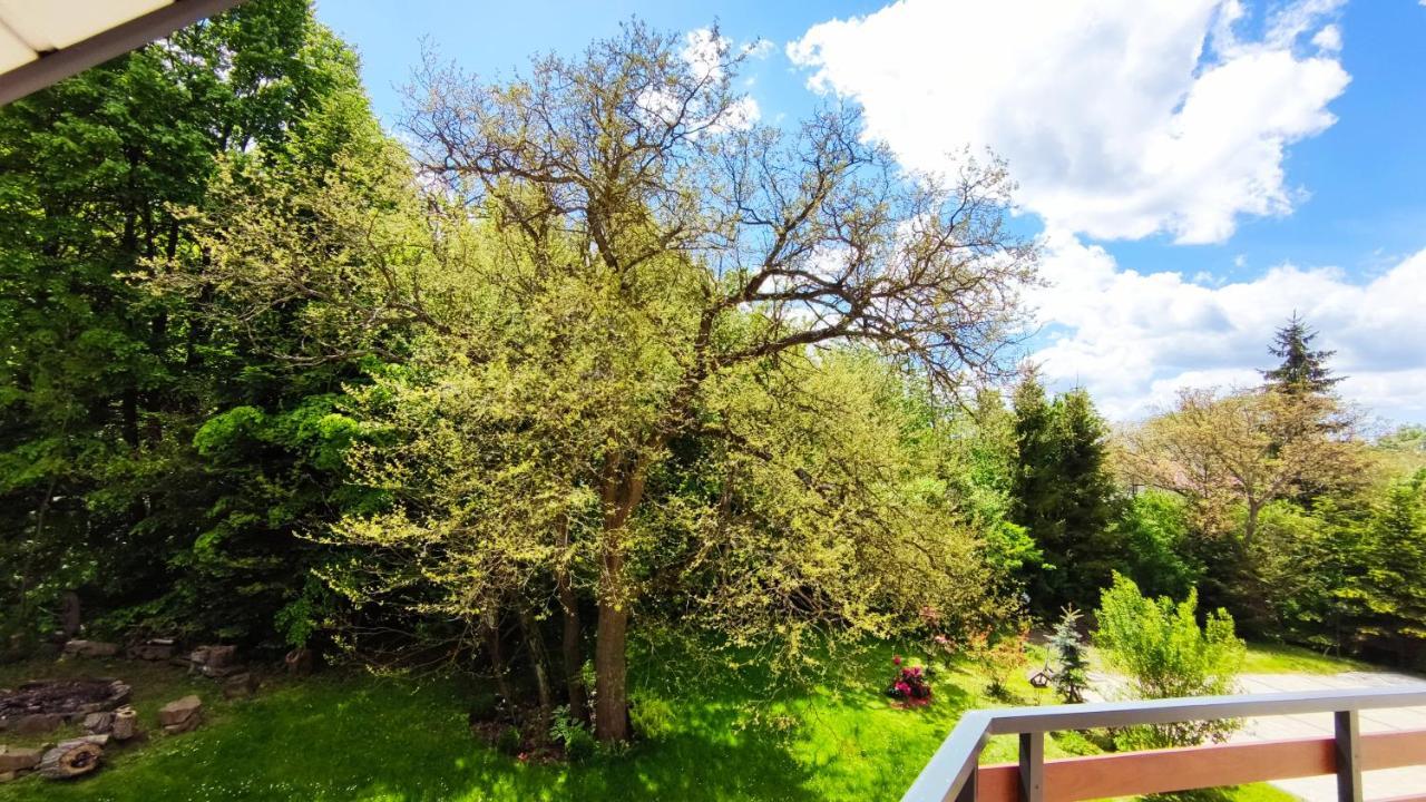 Willa Pod Zlota Morwa Swieta Katarzyna  Esterno foto